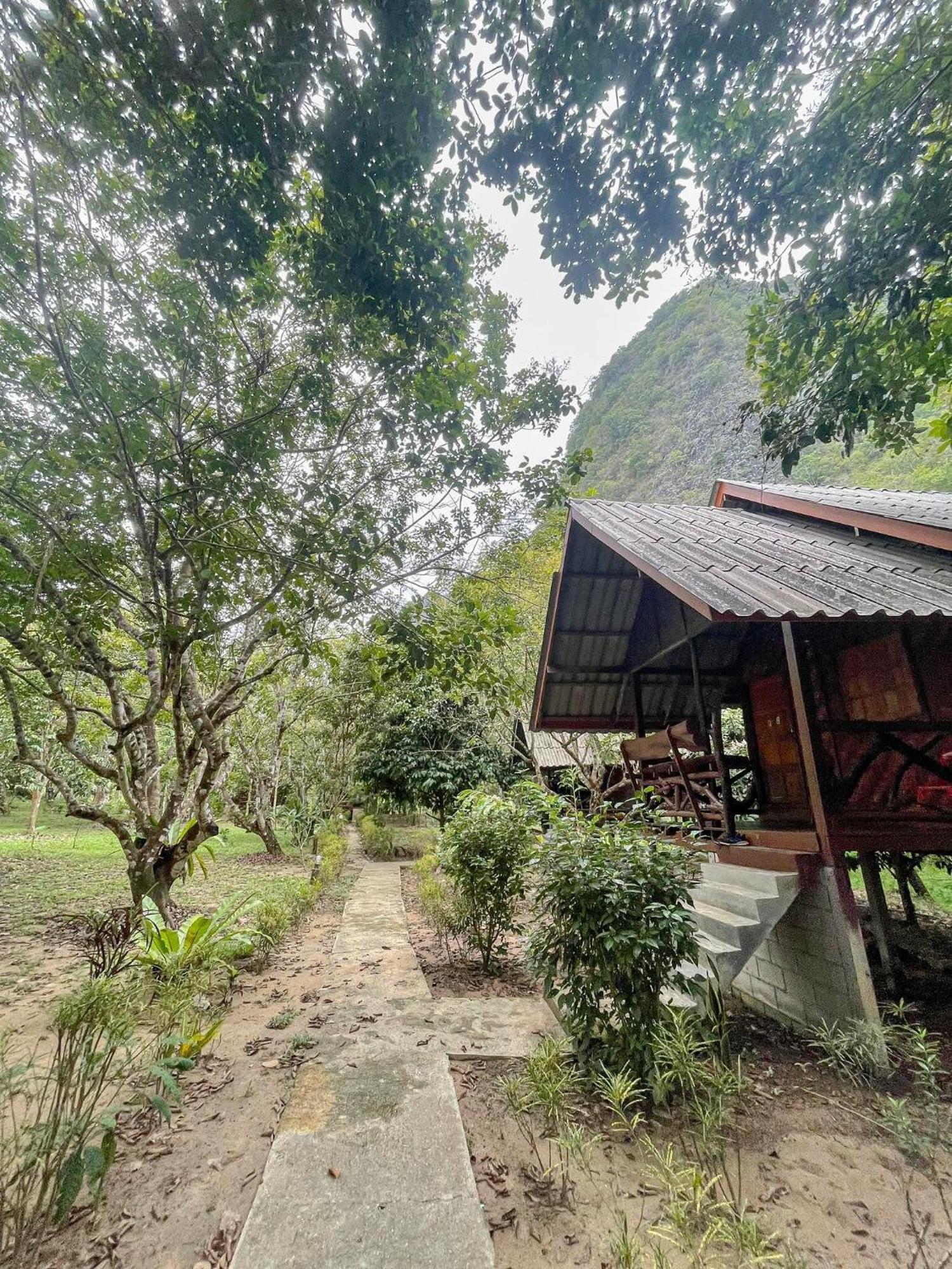 Khao Sok National Park Khao Sok Green Mountain View מראה חיצוני תמונה