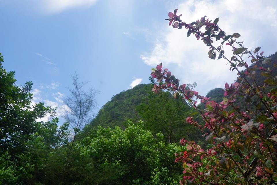 Khao Sok National Park Khao Sok Green Mountain View מראה חיצוני תמונה