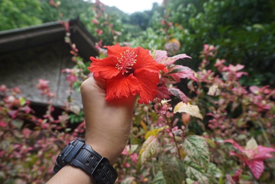 Khao Sok National Park Khao Sok Green Mountain View מראה חיצוני תמונה