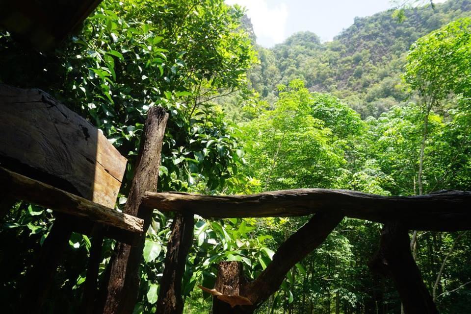 Khao Sok National Park Khao Sok Green Mountain View מראה חיצוני תמונה